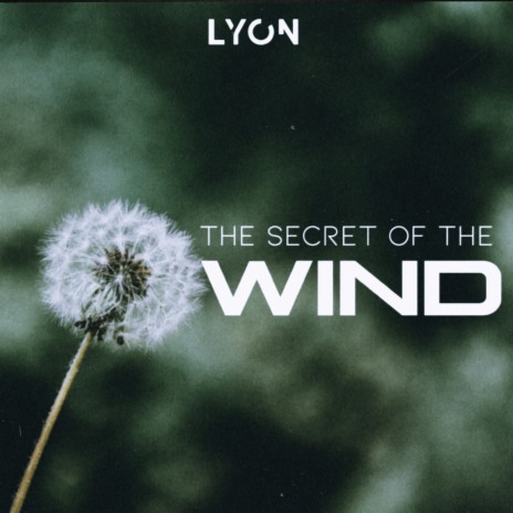 The Secret of the Wind | Boomplay Music