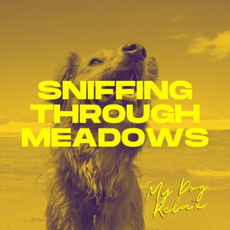 Sniffing Through Meadows | Boomplay Music