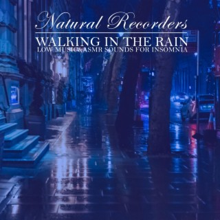 Walking In The Rain Sounds For Insomnia