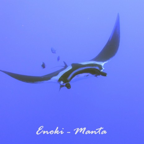 Manta | Boomplay Music