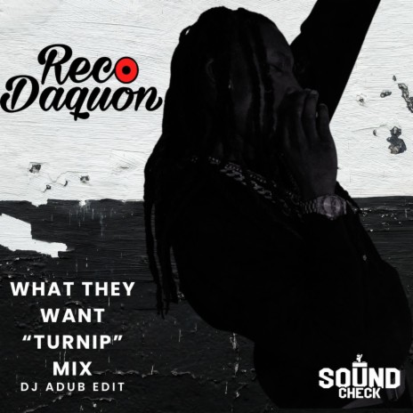 WHAT THEY WANT (Turnip Remix) ft. Reco Daquon