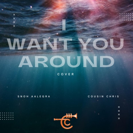 I Want You Around | Boomplay Music