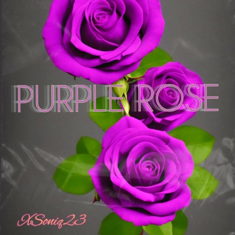 Purple Rose | Boomplay Music