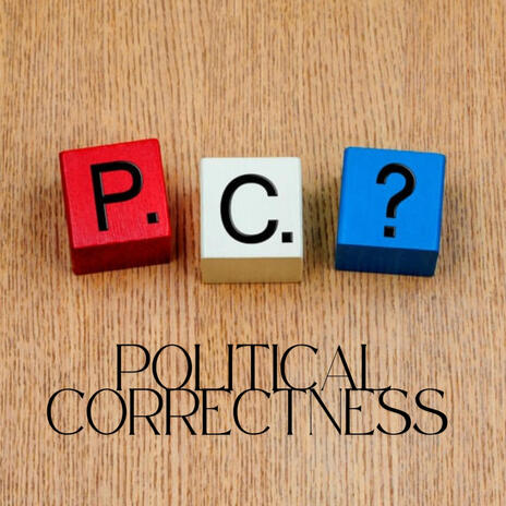 Political Correctness | Boomplay Music