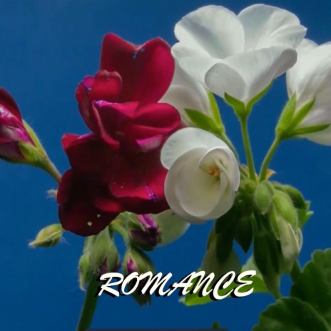 ROMANCE | Boomplay Music