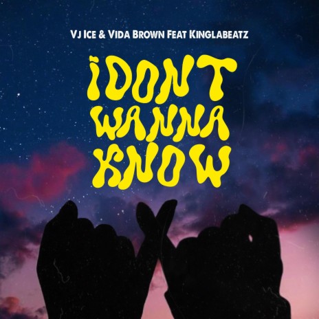 I Don't Wanna Know ft. Vida Brown & Kinglabeatz | Boomplay Music