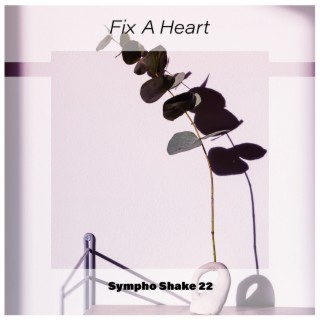 Fix A Heart Sympho Shake 22