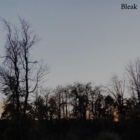 Bleak | Boomplay Music