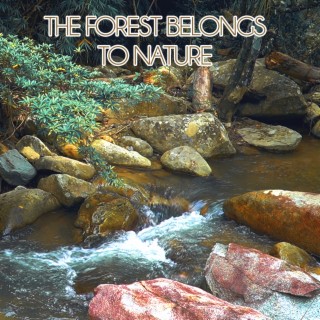 The forest belongs to nature