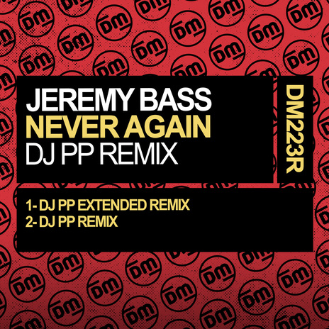 Never Again (DJ PP Remix) | Boomplay Music