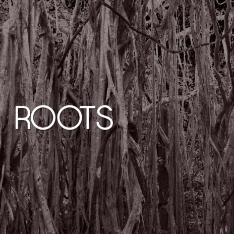 Roots | Boomplay Music