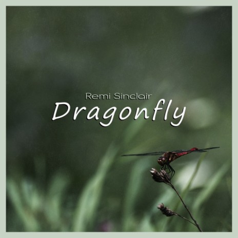 Dragonfly | Boomplay Music