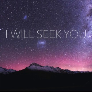 I Will Seek You