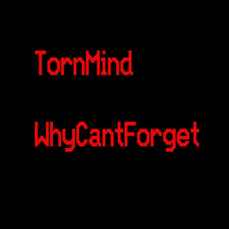 WhyCantForget | Boomplay Music