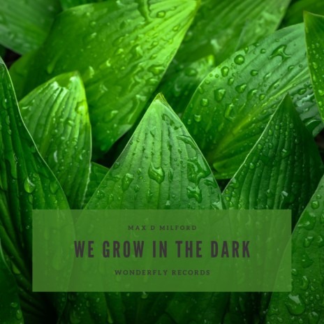 We grow in the dark