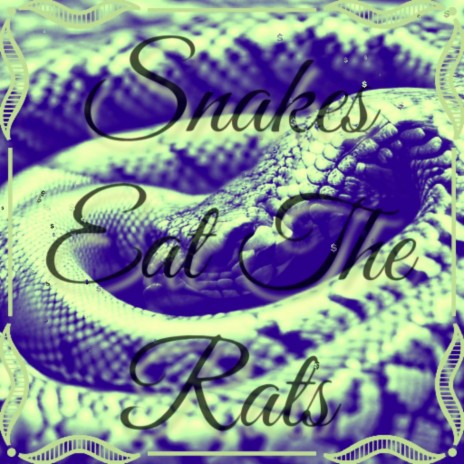 Snakes Eat the Rats ft. King Titus | Boomplay Music