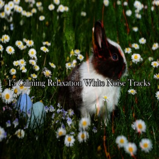 !!!! 15 Calming Relaxation White Noise Tracks !!!!