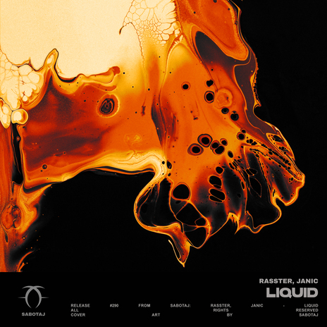 Liquid ft. Janic | Boomplay Music