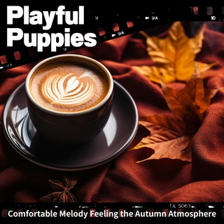 Comfortable Melody Feeling the Autumn Atmosphere