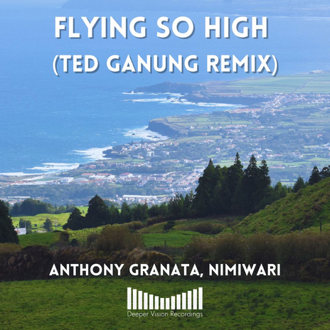 Flying So High (Ted Ganung Remix) ft. Nimiwari | Boomplay Music