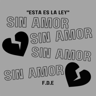 Sin Amor lyrics | Boomplay Music