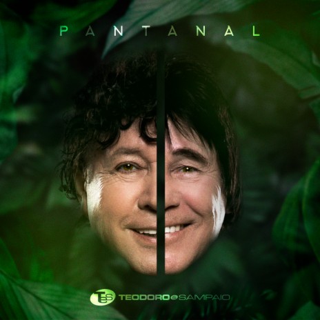 Pantanal | Boomplay Music