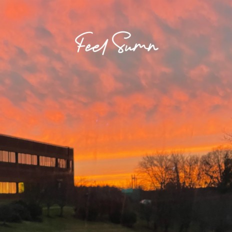 Feel Sumn ft. CookieDow | Boomplay Music