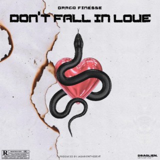 Don't Fall In Love