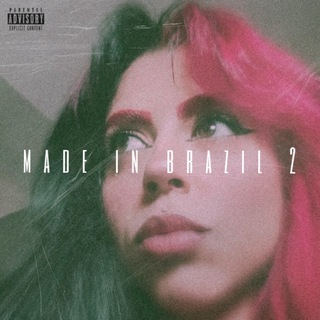 Made in Brazil 2