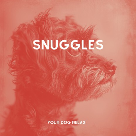 Music for Relaxing Doggies