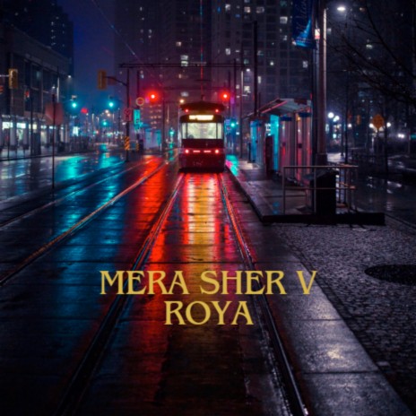 Mera Sher V Roya | Boomplay Music