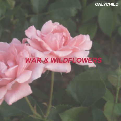 War & Wildflowers | Boomplay Music