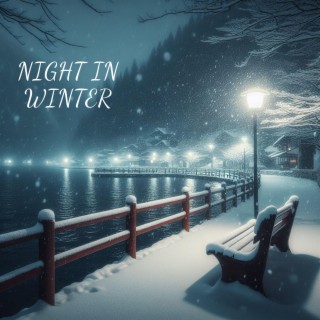 Night in Winter