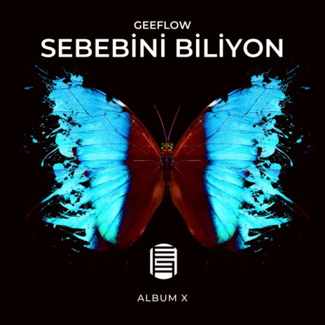 Sebebini biliyon | Boomplay Music