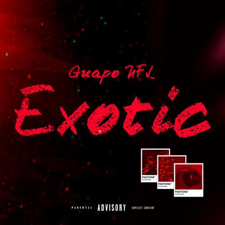 EXOTIC | Boomplay Music