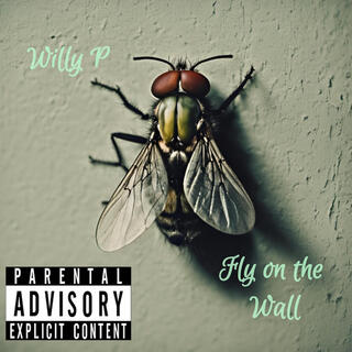 Fly On The Wall