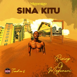 Sina kitu