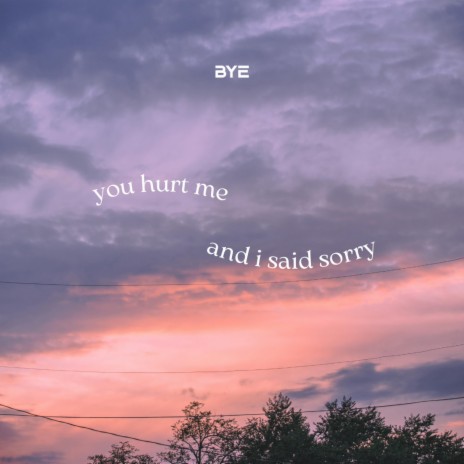 you hurt me (& i said sorry)