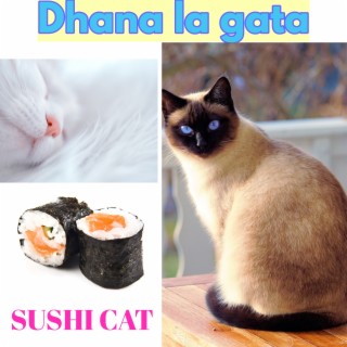 Sushi Cat