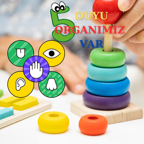 5 Duyu Organımız Var | Boomplay Music