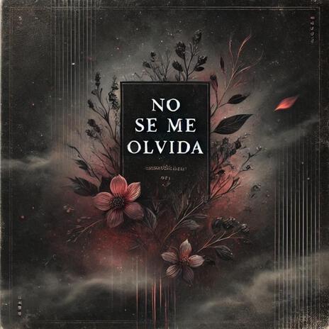 No Se Me Olvida | Boomplay Music