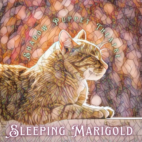 Sleeping Marigold | Boomplay Music