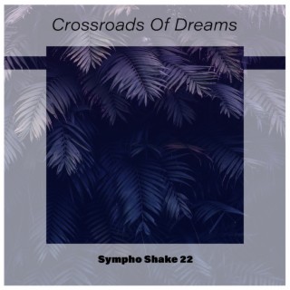 Crossroads Of Dreams Sympho Shake 22