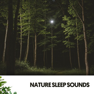 Nature Sleep Sounds: Enchanting Lullabies from Mother Earth