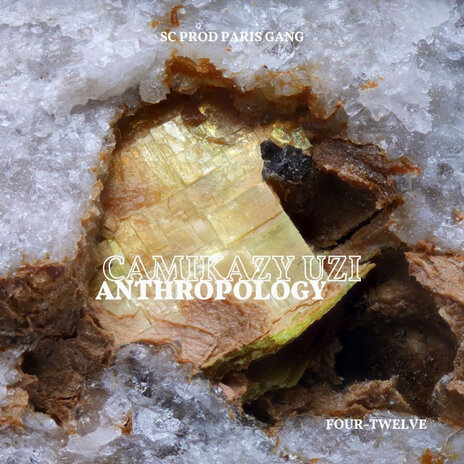 Anthropology | Boomplay Music