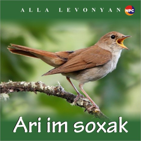 Ari Im Soxak | Boomplay Music