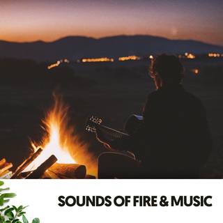 Sounds of Fire & Music: Dancing Flames and Melodic Beats