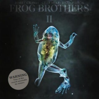 Frog Brothers II