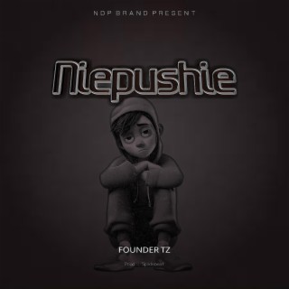 Niepushie lyrics | Boomplay Music