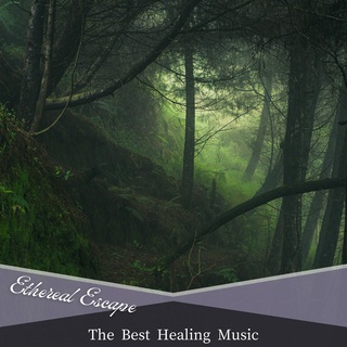 The Best Healing Music